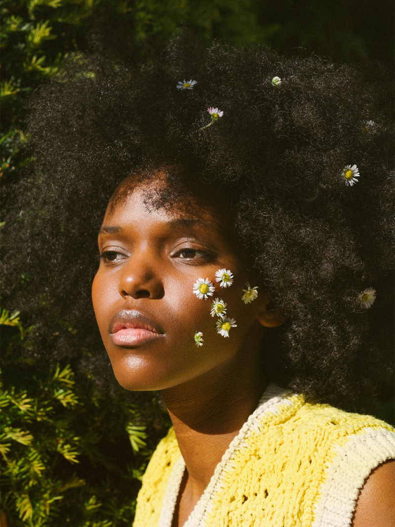 The Power of a Daisy: The Flower Behind the Formula