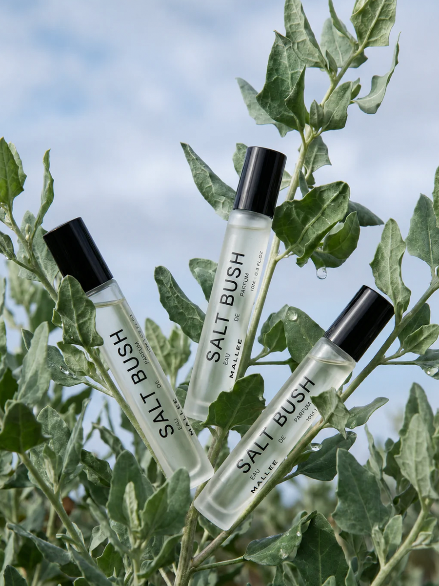 Salt Bush Eau de Parfum
