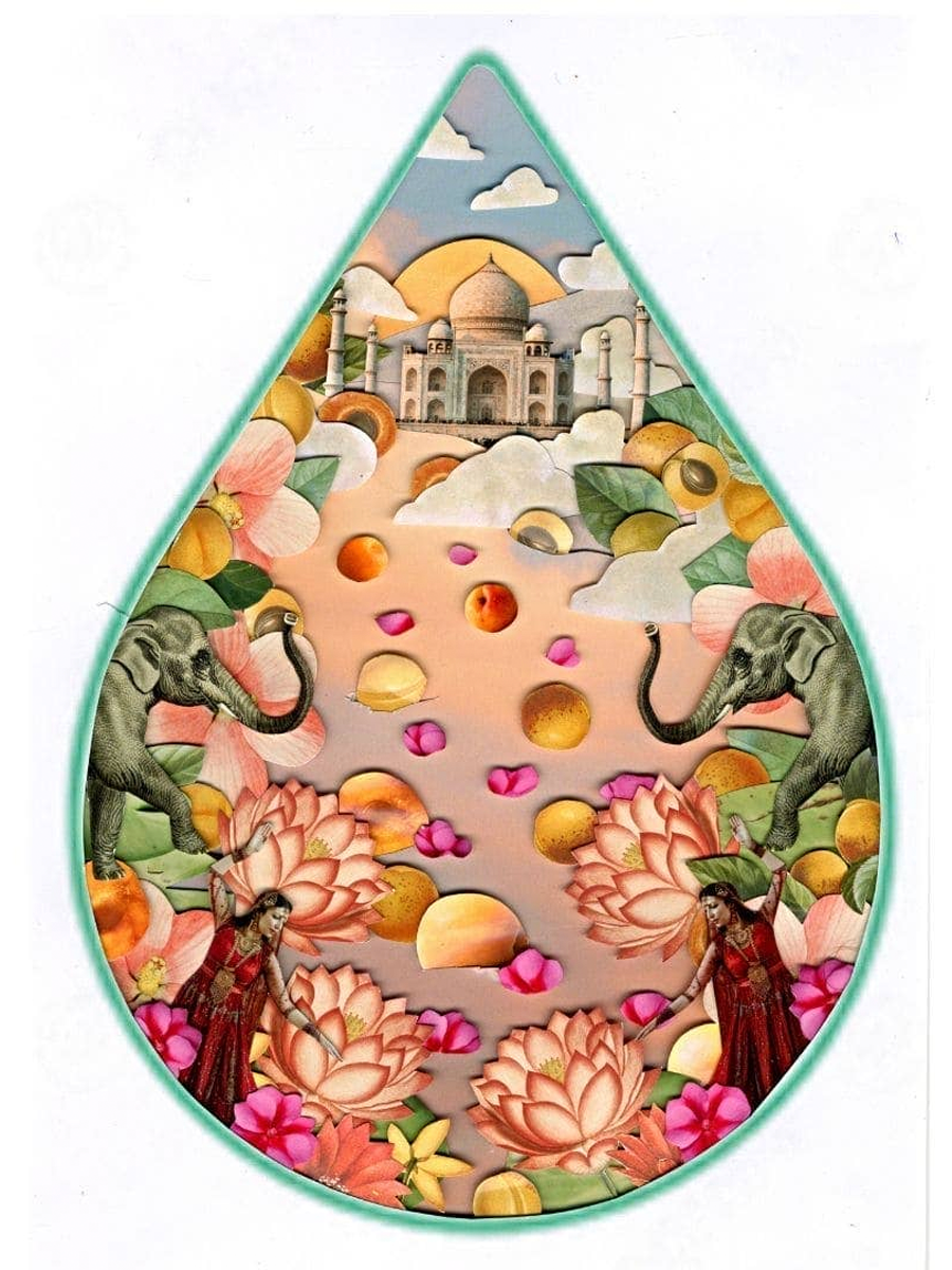 Organic Apricot Oil