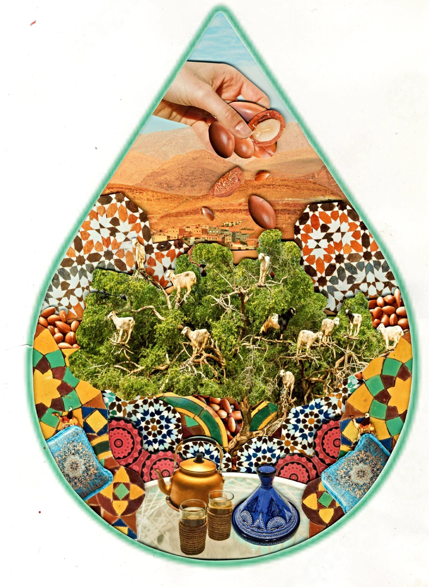 Organic Argan Oil