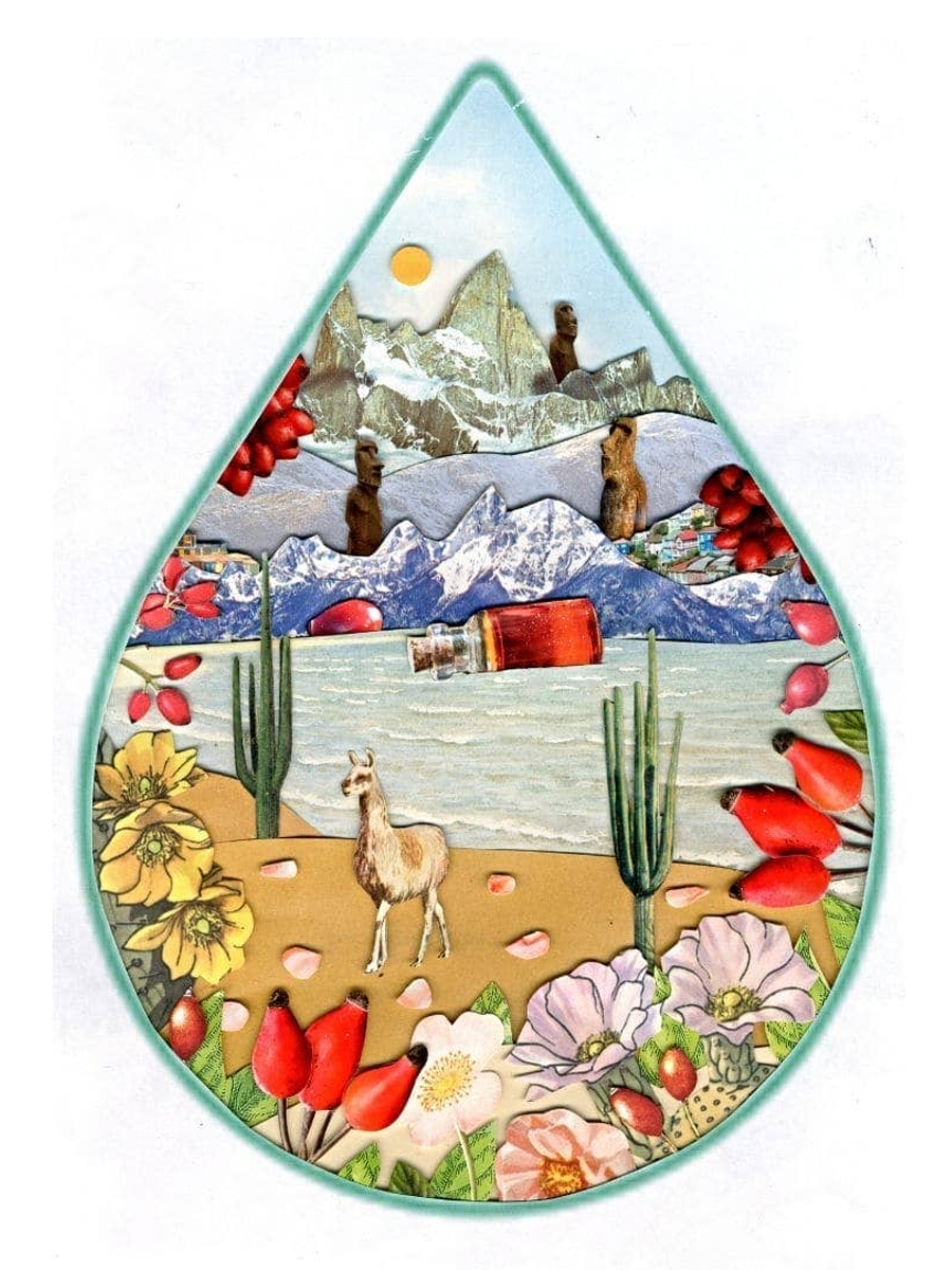Organic Rosehip Oil